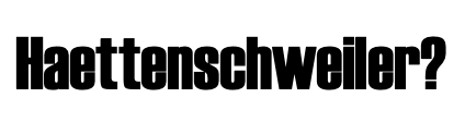 Haettenschweiler font sample